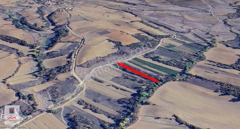 Malkara Teteköy Satılık Tarla Malkara Teteköy'de 1300m²müstakil Tapulu Satılık Arazi