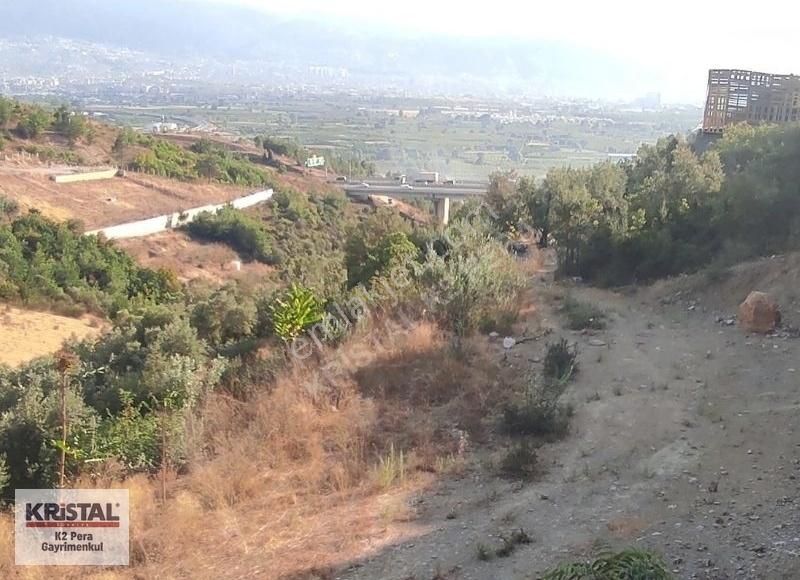 Osmangazi İsmetiye Satılık Zeytinlik K2 Pera Bursa Osmangazi İsmetiye 667 M2 Tek Tapu Yatırım Arazi