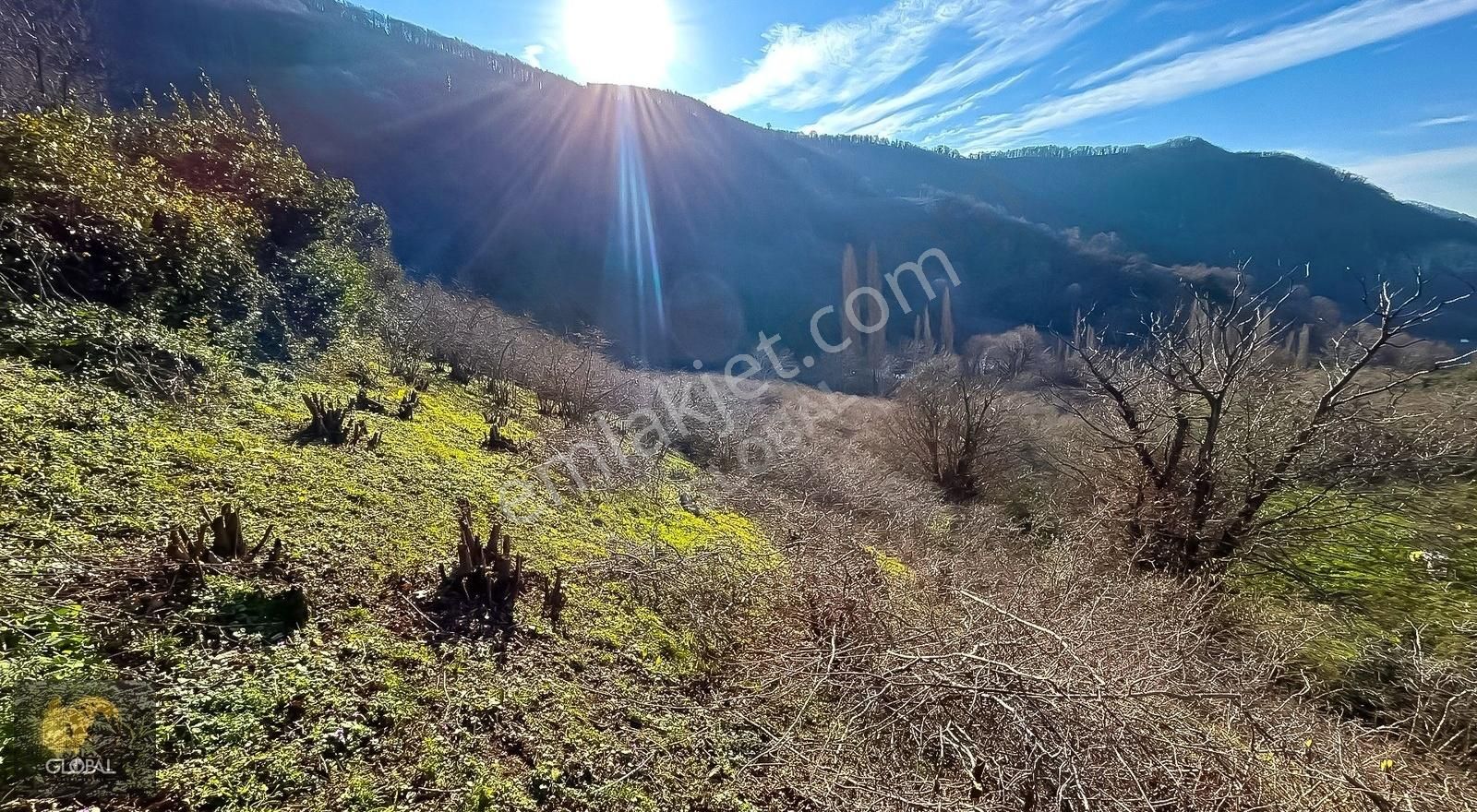 Bartın Merkez Güzelcehisar Köyü (Hisar) Satılık Konut İmarlı Bartın Güzelcehisar'da 476 M² Deniz Manzaralı Villalık Arsa