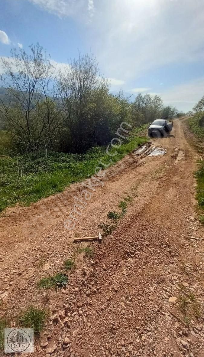 Kestel Aksu Satılık Tarla Kestel Aksu'da 29dönüm Müstakil Tapulu Tarla