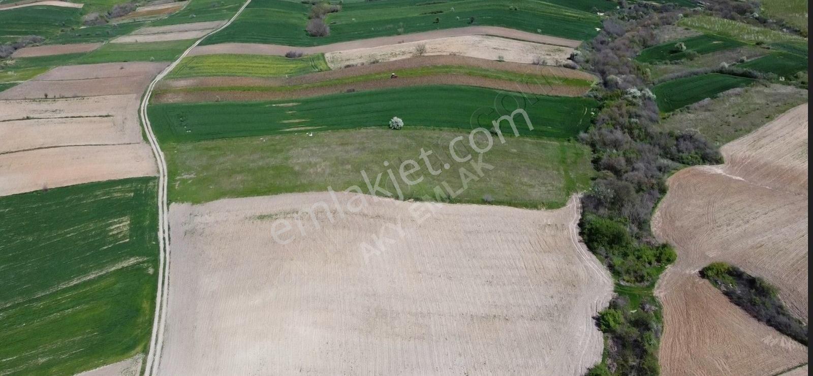 Hayrabolu Hedeyli Satılık Tarla Tekirdağ Hayrabolu Hedeyli 11.500 Mt Satılık Tarla Araç Takaslı