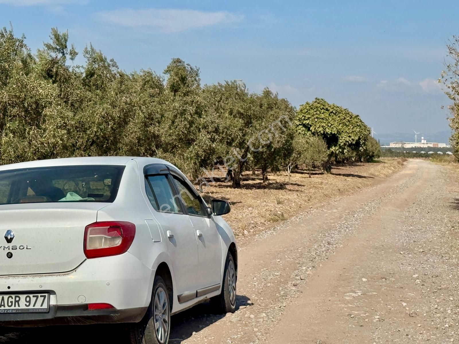 Akhisar Kapaklı Satılık Zeytinlik Manisa Kapaklı Da 2.500 M2 Zeytinlik , 70 Adet Ağaç , Yolu Var