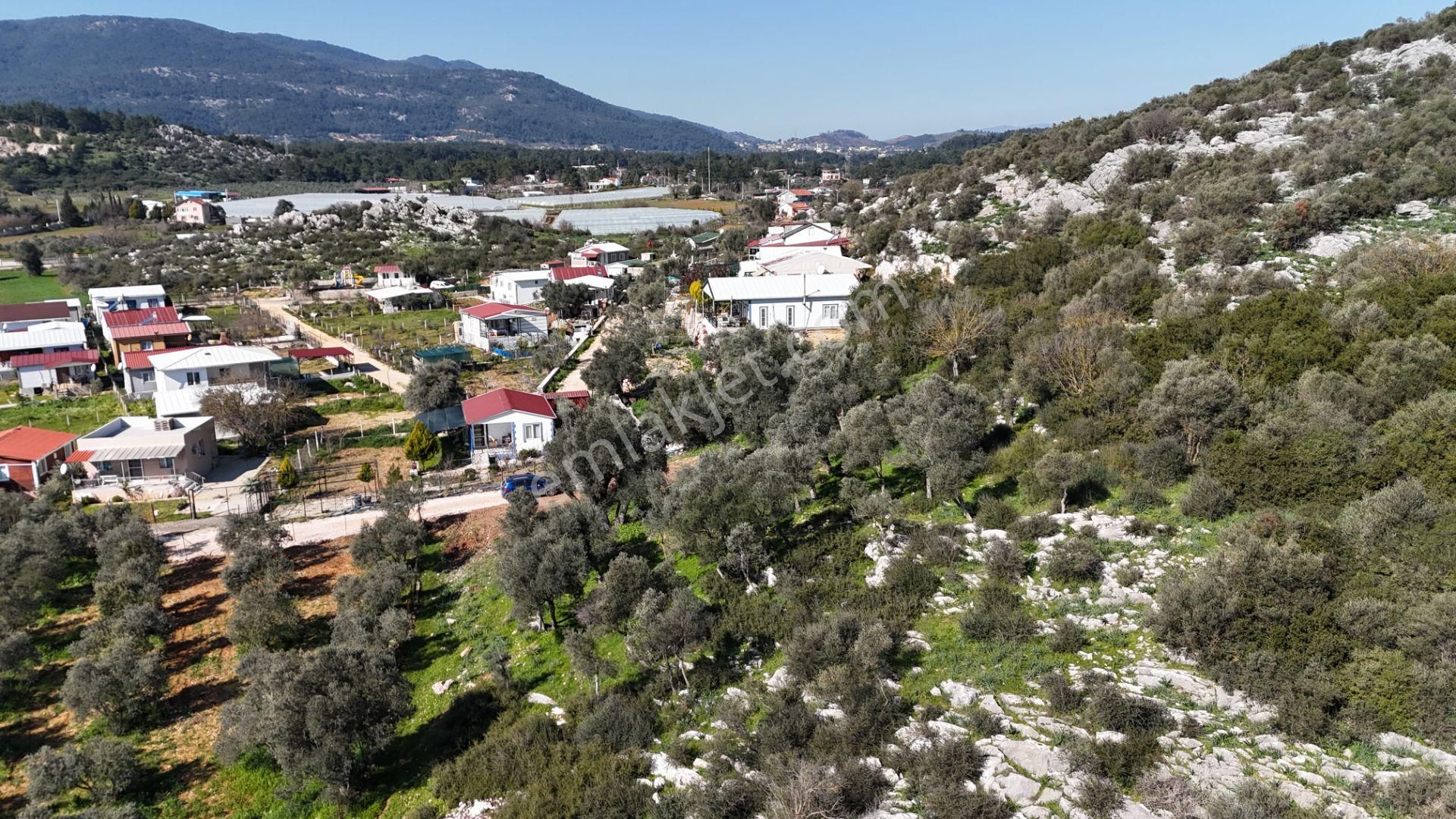 Menderes Ataköy Satılık Zeytinlik Menderes Ataköyde Satılık Tek Tapu Yatırımlık 1.055 M2 Muhteşem Zeytinlik