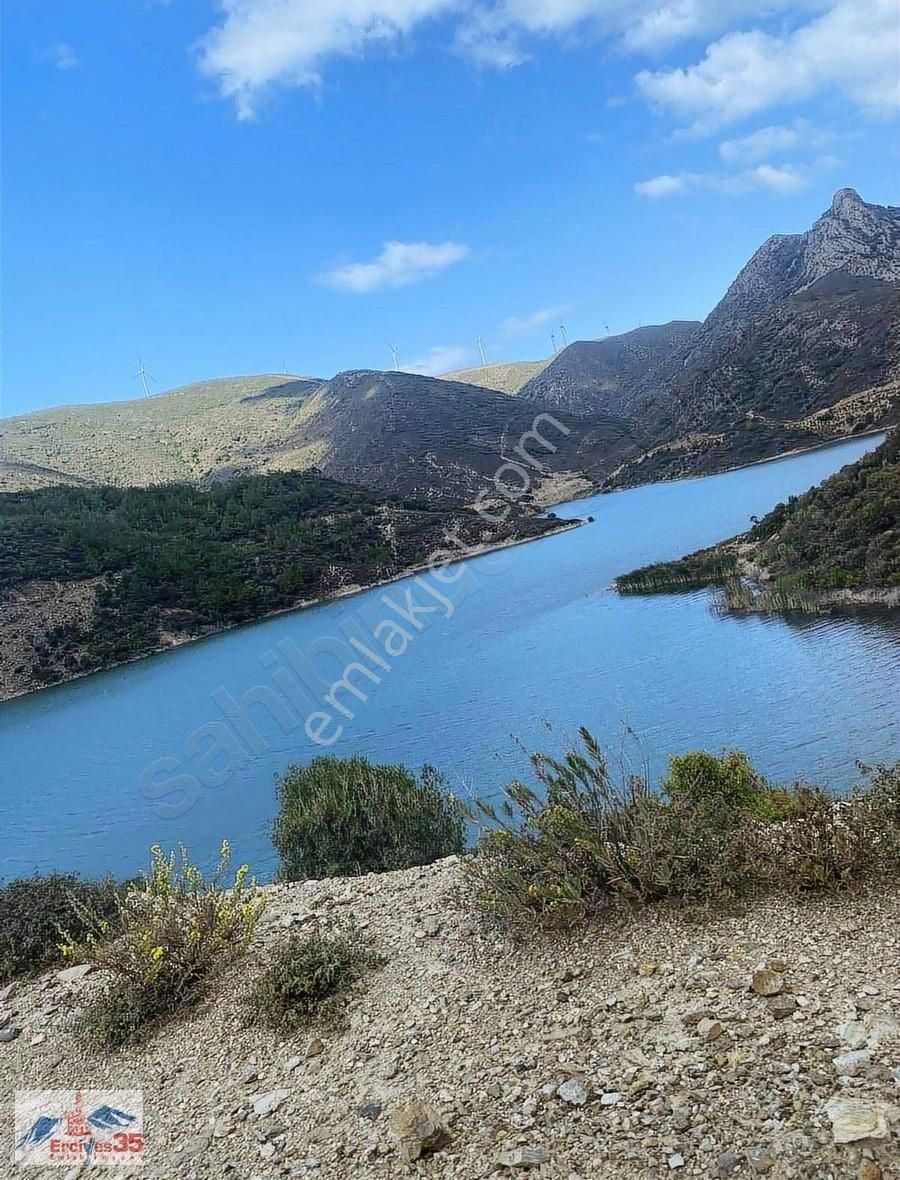 Karaburun Bozköy Satılık Zeytinlik Erciyes35'den Egenin İncisi Karaburun Bozköy'de 5869 M2 Takaslı