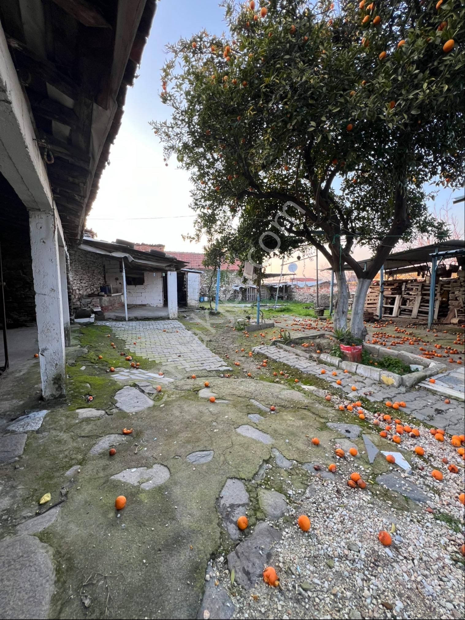 Akyoruk Gayrimenkulden Satılık Masrafsız Büyük Bahçeli Müstakil Ev - Görsel 22