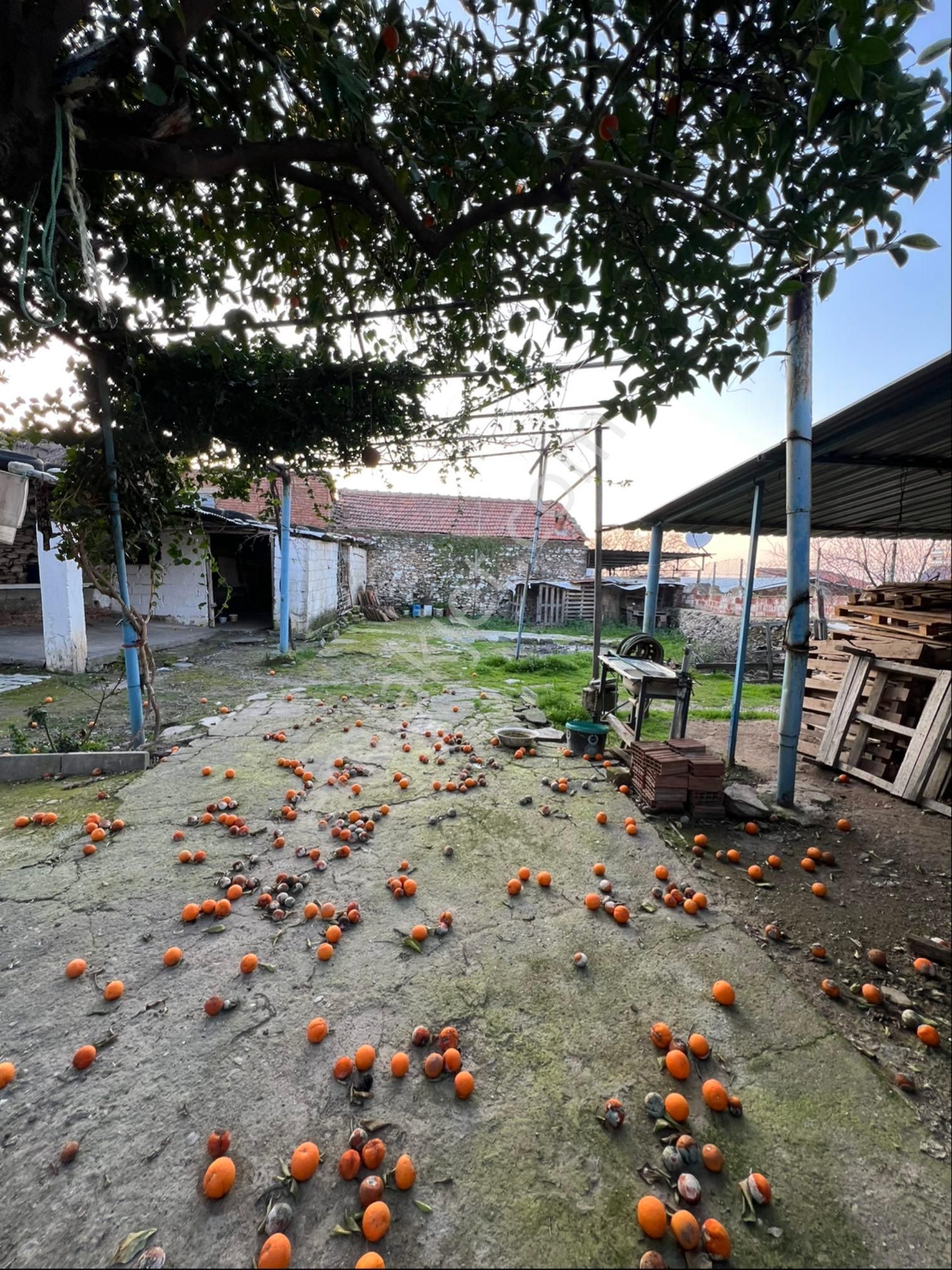 Akyoruk Gayrimenkulden Satılık Masrafsız Büyük Bahçeli Müstakil Ev - Görsel 26