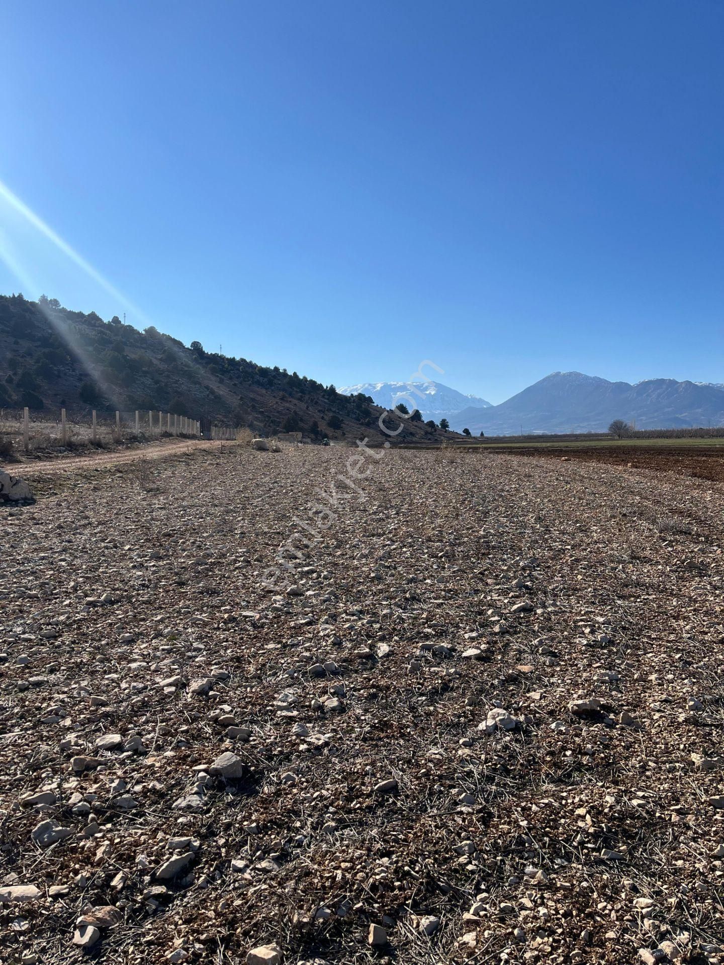 Antalya Elmalı Tekke Mahalle Merkezine Yakın Kadastrol Yola Cephe 6.278m2 Satılık Tarla - Görsel 11