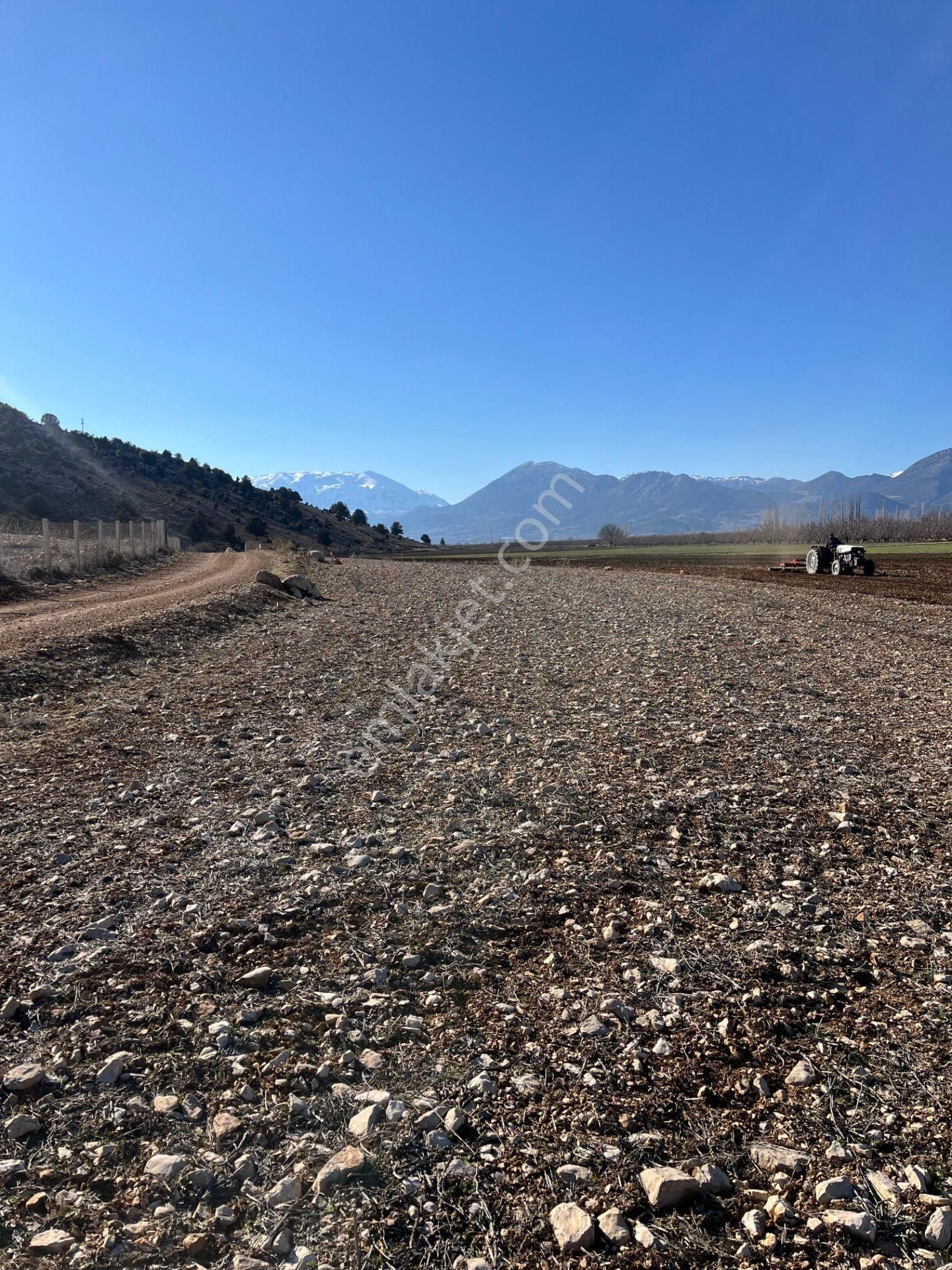 Antalya Elmalı Tekke Mahalle Merkezine Yakın Kadastrol Yola Cephe 6.278m2 Satılık Tarla - Görsel 13