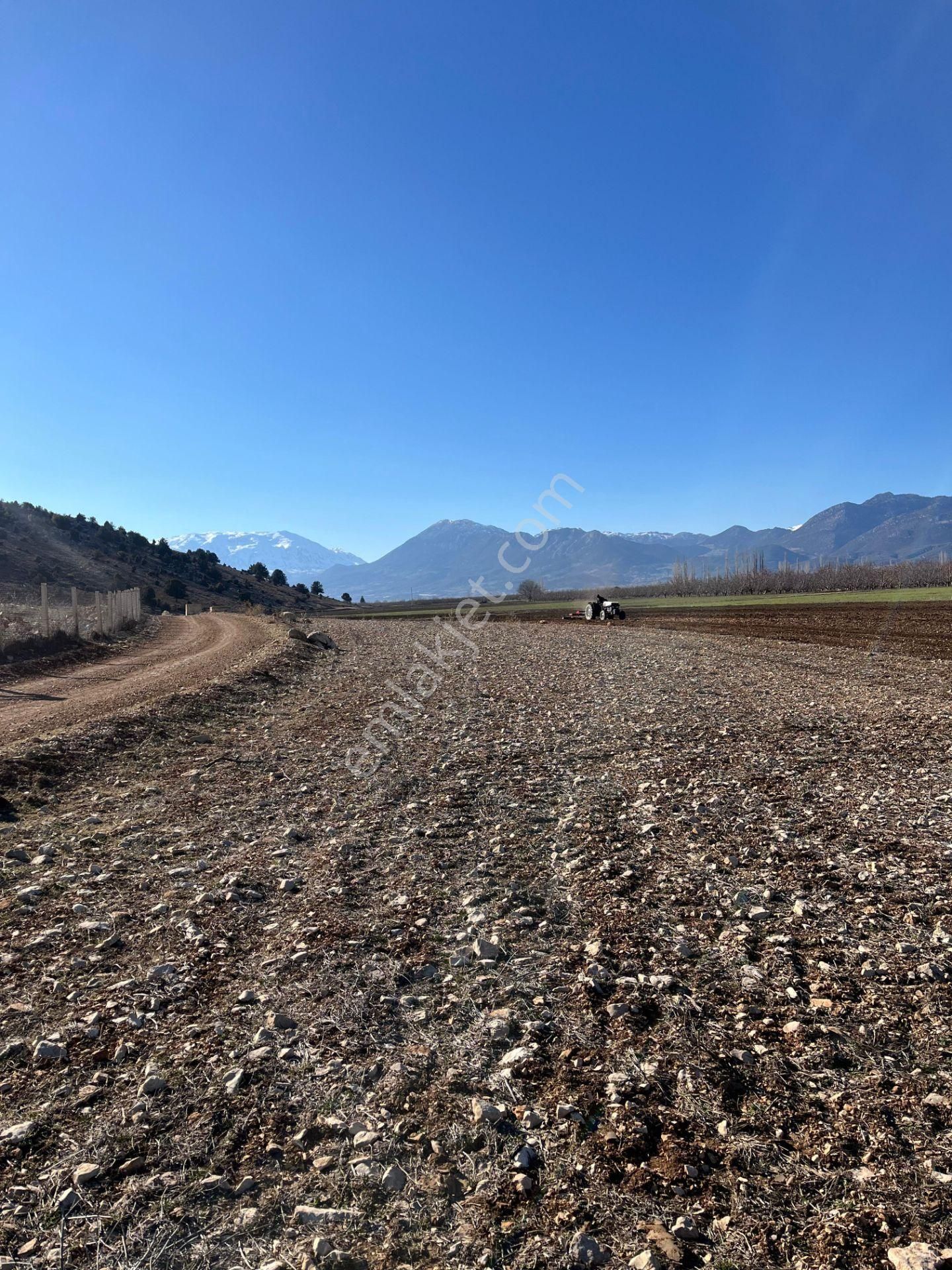 Antalya Elmalı Tekke Mahalle Merkezine Yakın Kadastrol Yola Cephe 6.278m2 Satılık Tarla - Görsel 12