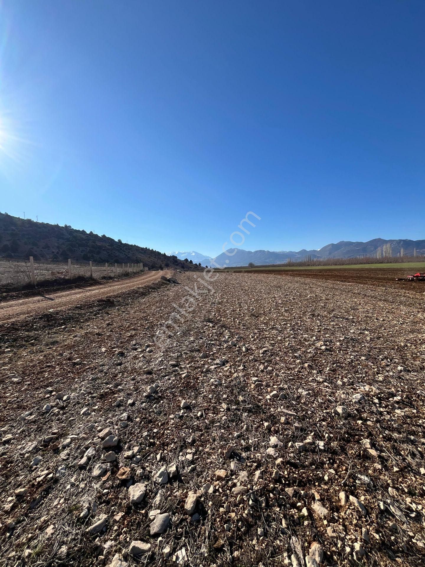 Antalya Elmalı Tekke Mahalle Merkezine Yakın Kadastrol Yola Cephe 6.278m2 Satılık Tarla - Görsel 14