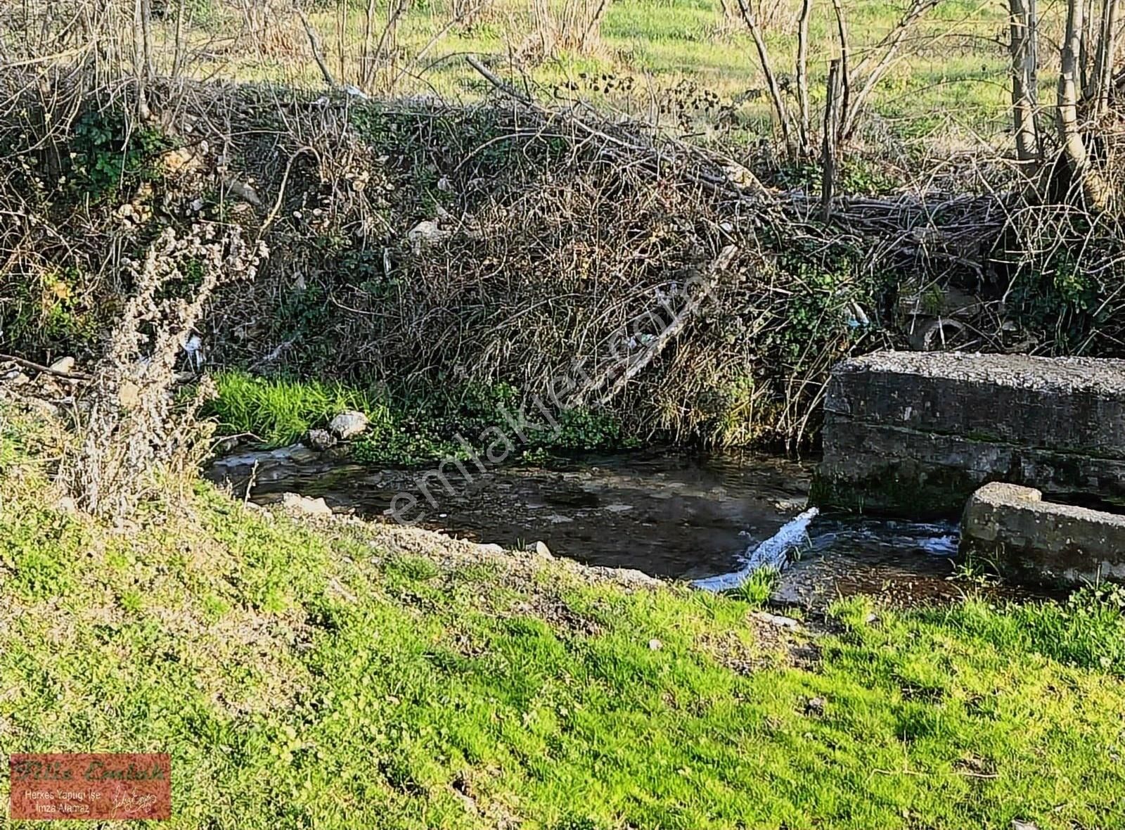 Kandıra Kubuzcu Satılık Tarla Tam Konteynırlık