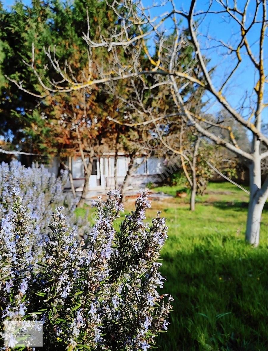 Orient Gayrimenkulden Satılık 1870 M2 Arsa İçinde Müstakil Ev - Görsel 8