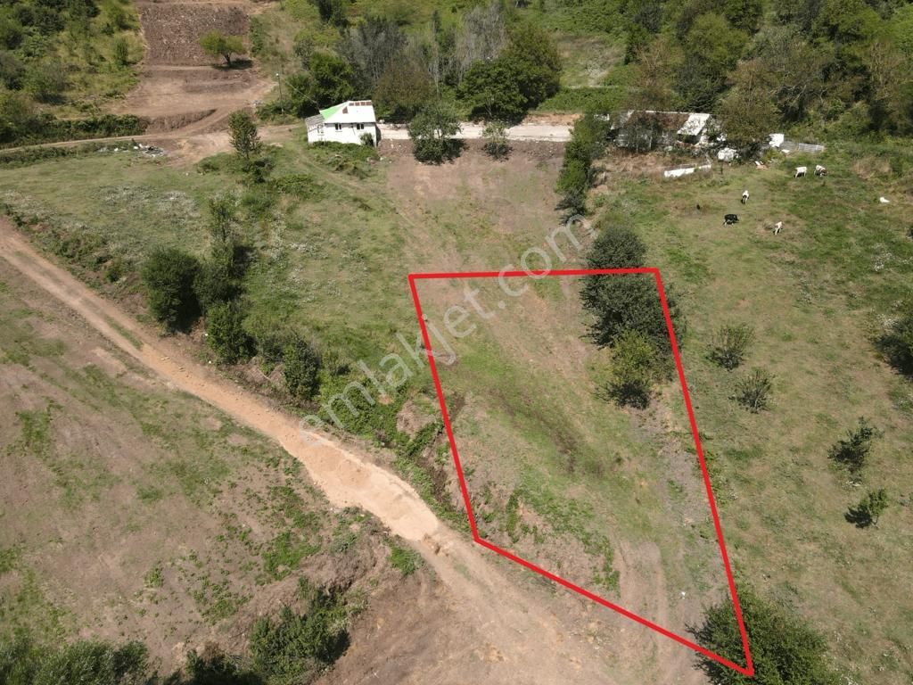 İznik Osmaniye Mahallesinde 592 M2 Resmi Konut İmarlı Arsa - Görsel 24