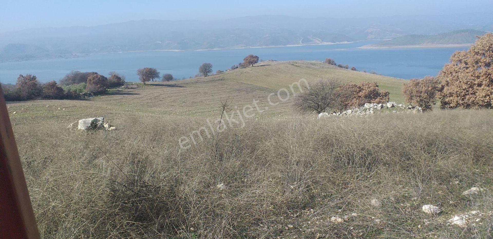 Salihli Oraklar Satılık Tarla Manisa Salihli İlçesinde Satılık Boş Arazi