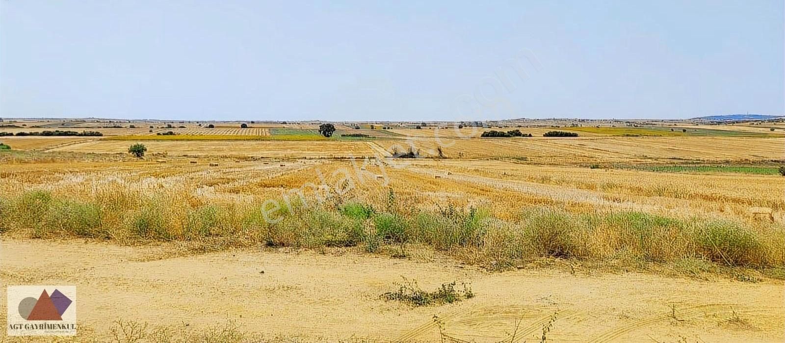 Süloğlu Yeni Satılık Tarla Kadastral Yol Cepheli Yatırımlık Tarla Kendi Yerimiz