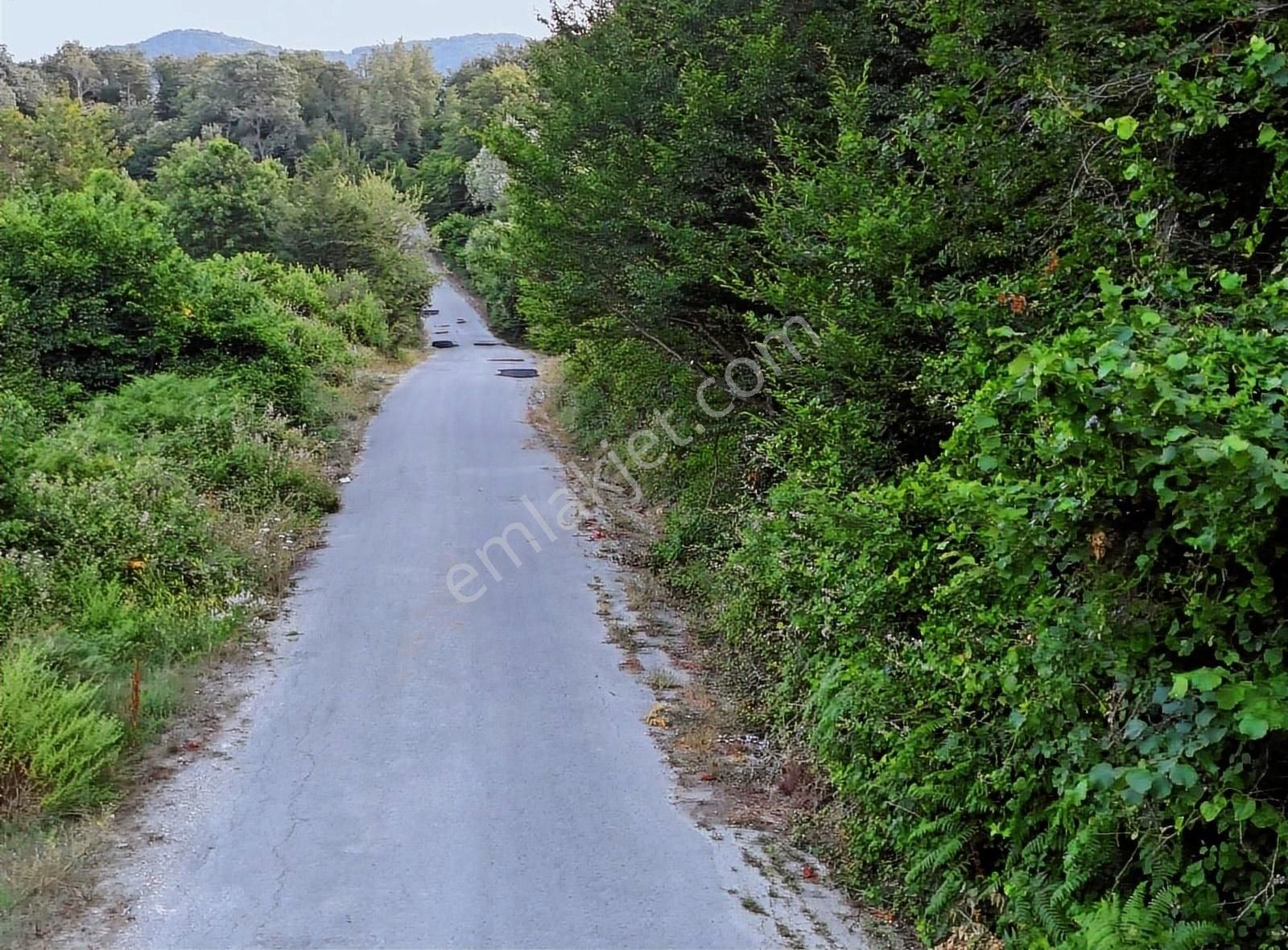 Amasra İnpiri Köyü Satılık Tarla Altın Emlaktan Satılık 13 Dönüm Amasra İnpiri Köyünde Tarla