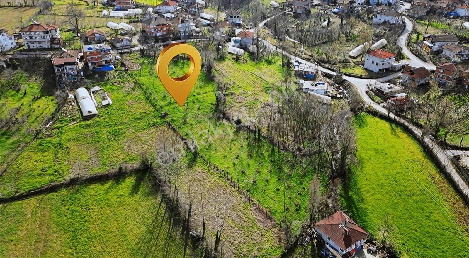 Bartın Merkez Geriş Köyü (Yukarı) Satılık Konut İmarlı Altın Emlaktan Satılık Geriş Köyünde İmarlı 1.160 M2 Arsa