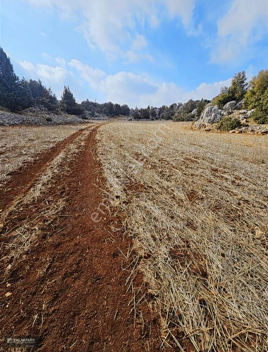 Silifke Seyranlık Satılık Tarla Emlakpark'tan 9.600 Metrekare Tek Tapu Tamamı Bu Fıyat