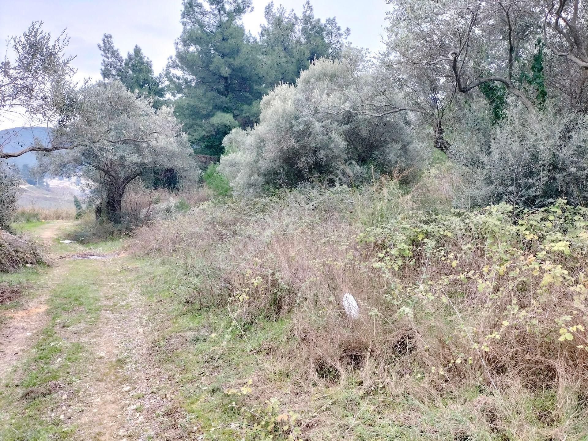 Kuşadası Davutlar Satılık Konut İmarlı Dağ Ve Deniz Manzarali Köşe Parsel