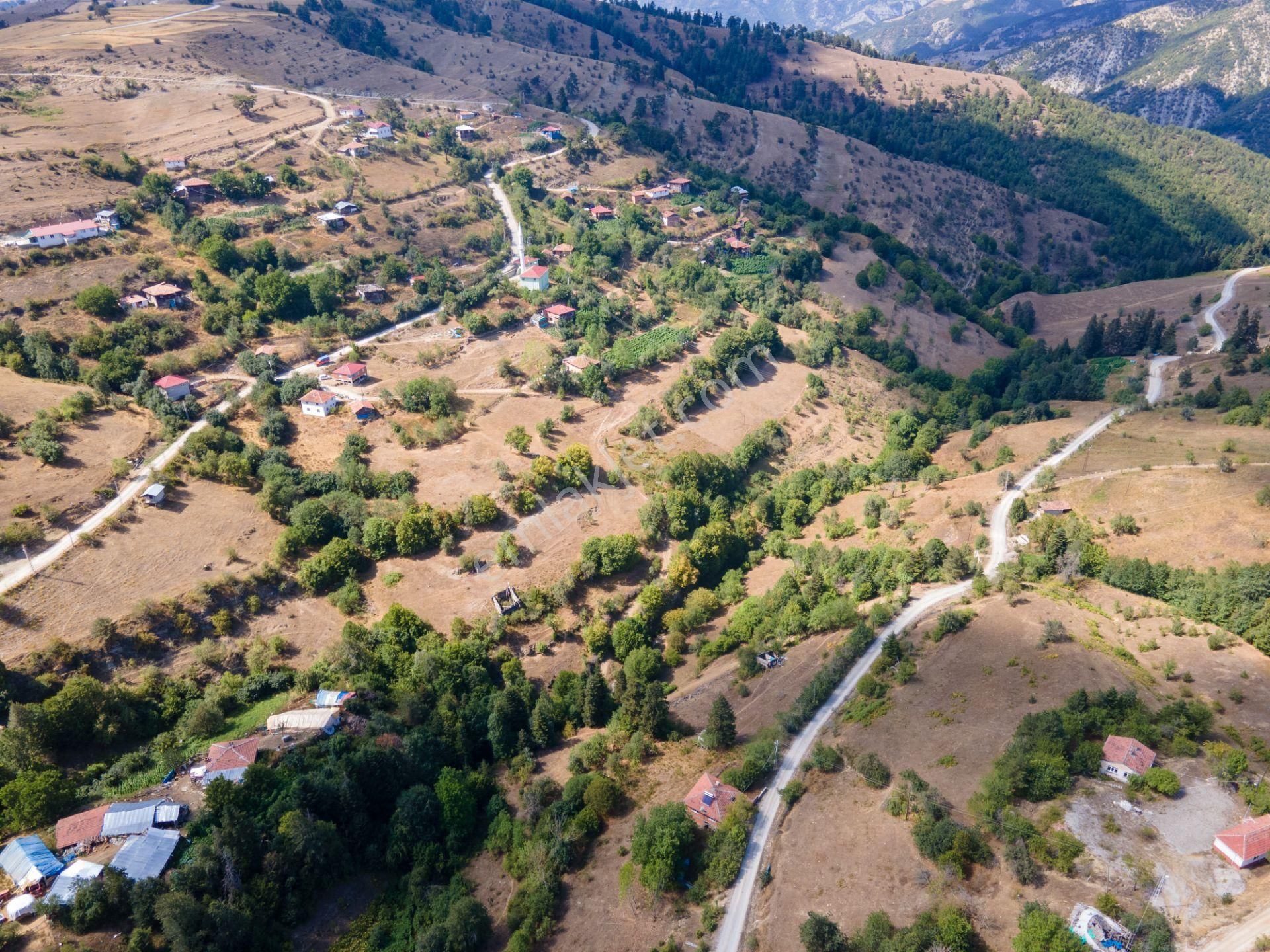 Durağan Çamlıca Köyü (Merkez) Satılık Konut İmarlı Sinop Çamlıca Da 625m² Köyiçi İmarlı Yola Cepheli Kelepir Parsel