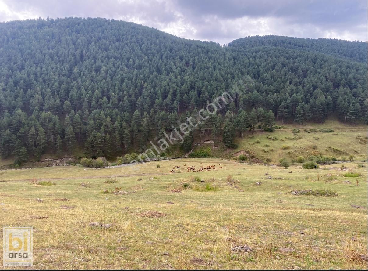 24.540m² ! Tamamı Bu Fiyata!yolu Var! İlçe Merkezine Sadece 4km!