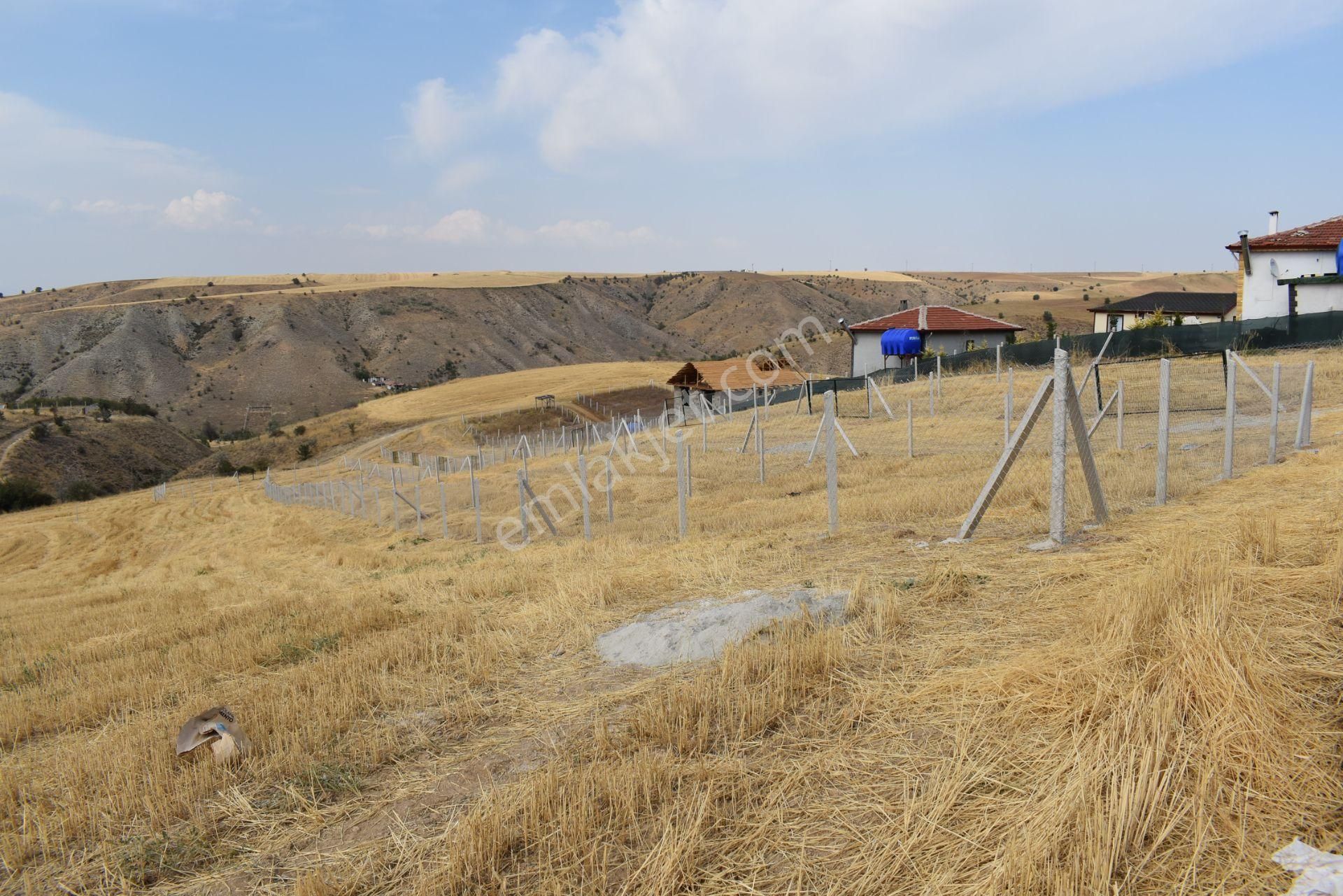 Altındağ Aydıncık Satılık Bağ & Bahçe Çözüm Emlak'tan Aydıncıkta 1 Dönüm Araç Takaslı Telle Çevrili Kapılı Kopartif Hissesi