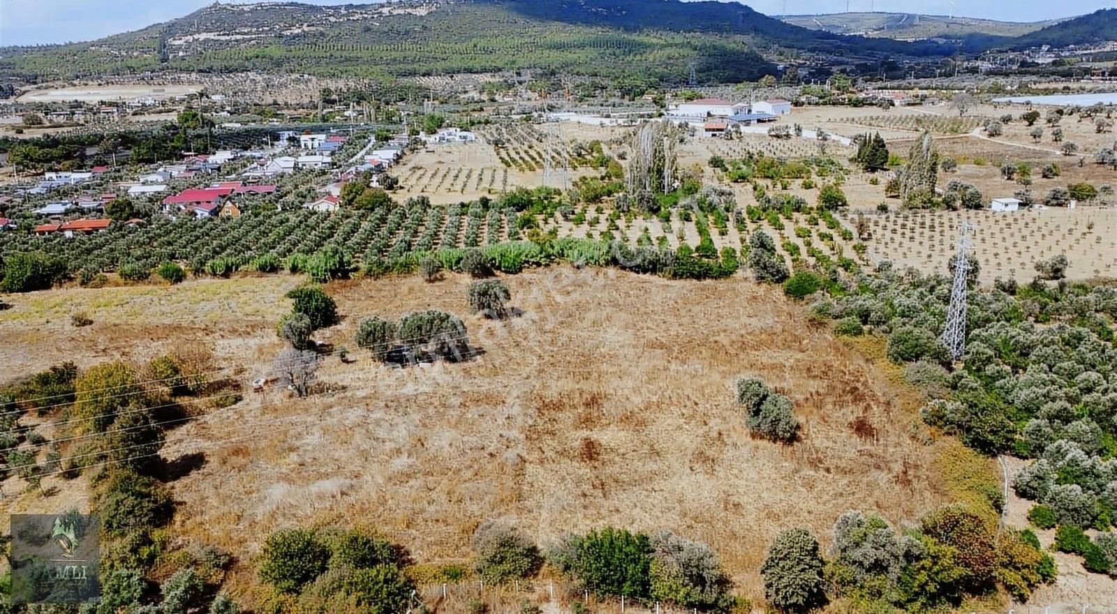 Çamlı Gayrimenkulden Satılık Tarla - Görsel 2