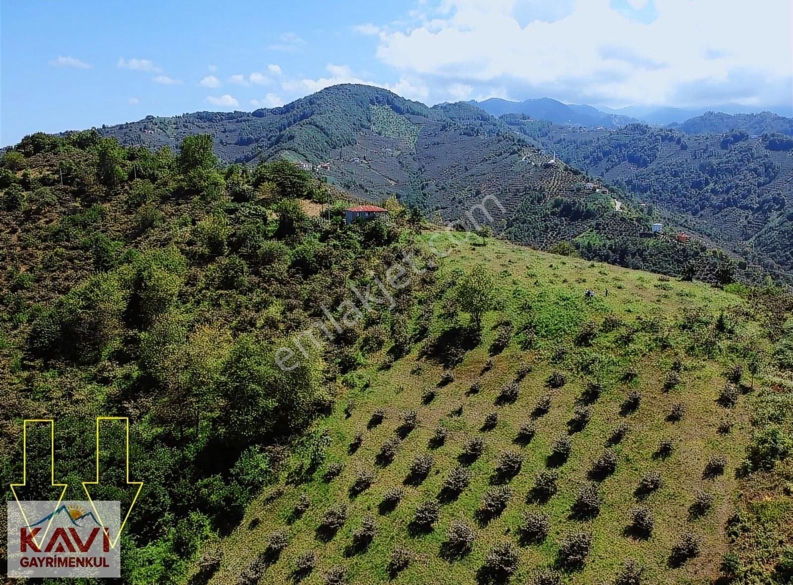 Çarşıbaşı Kaleköy Satılık Özel Kullanım Komple Deniz Manzaralı Arsa / Kavi Gayrimenkulden