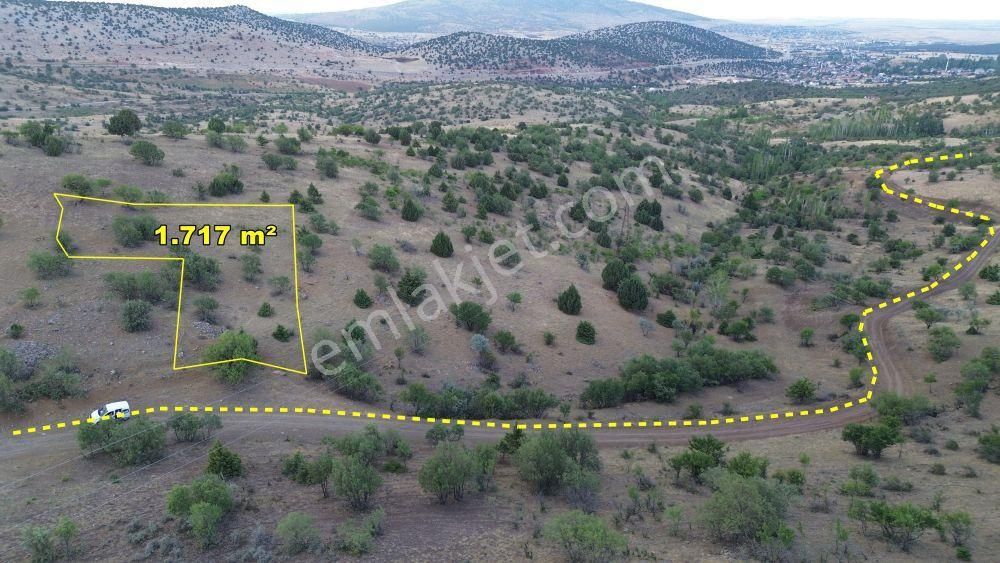 Güneysınır Gürağaç Satılık Bağ & Bahçe Konya Güneysınır Gürağaç Mahallesinde 1.717 M² Müstakil Tapulu Bağ