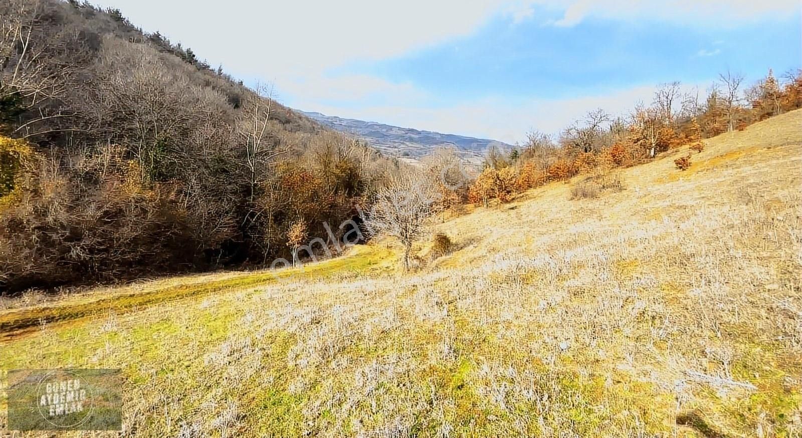 Gönen Ilıcaoba Satılık Tarla Ormana Ve Dereye Cephe 4.375 M2 Arazi