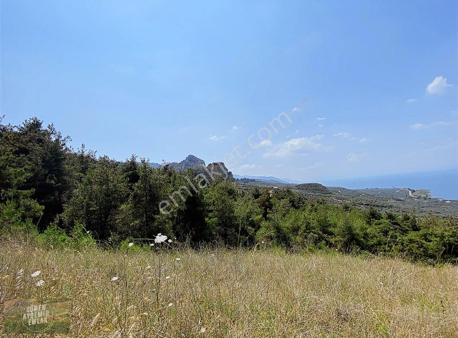 İznik Göllüce Satılık Tarla Panoramik İznik Gölü Manzaralı 16.850 M2 Mükemmel Arazi