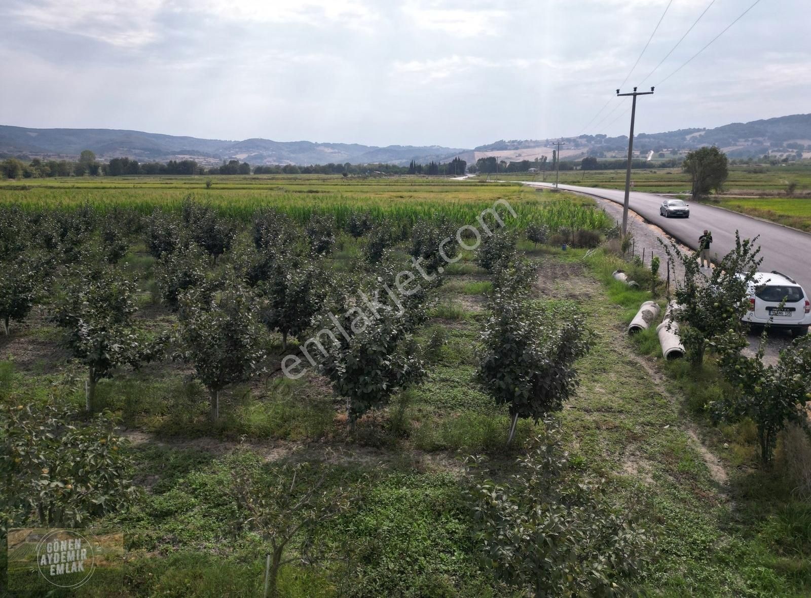 Gönen Tütüncü Satılık Tarla Asfalt Yola Cephe 5747 M² Hurma Bahçesi