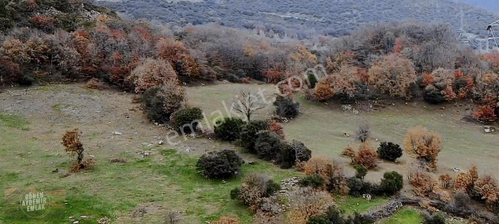 Gönen Ortaoba Satılık Tarla Gönen Ortaoba Mah. 5.920 M2 Ormana Cephe Arazi