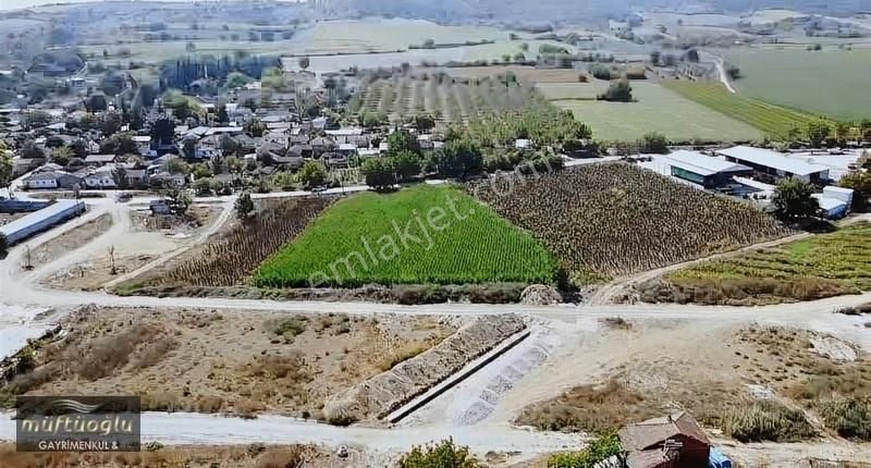 Yenişehir Akdere Satılık Tarla Bursa Yenişehir Akdere Mahallesin'de Satılık Tarla