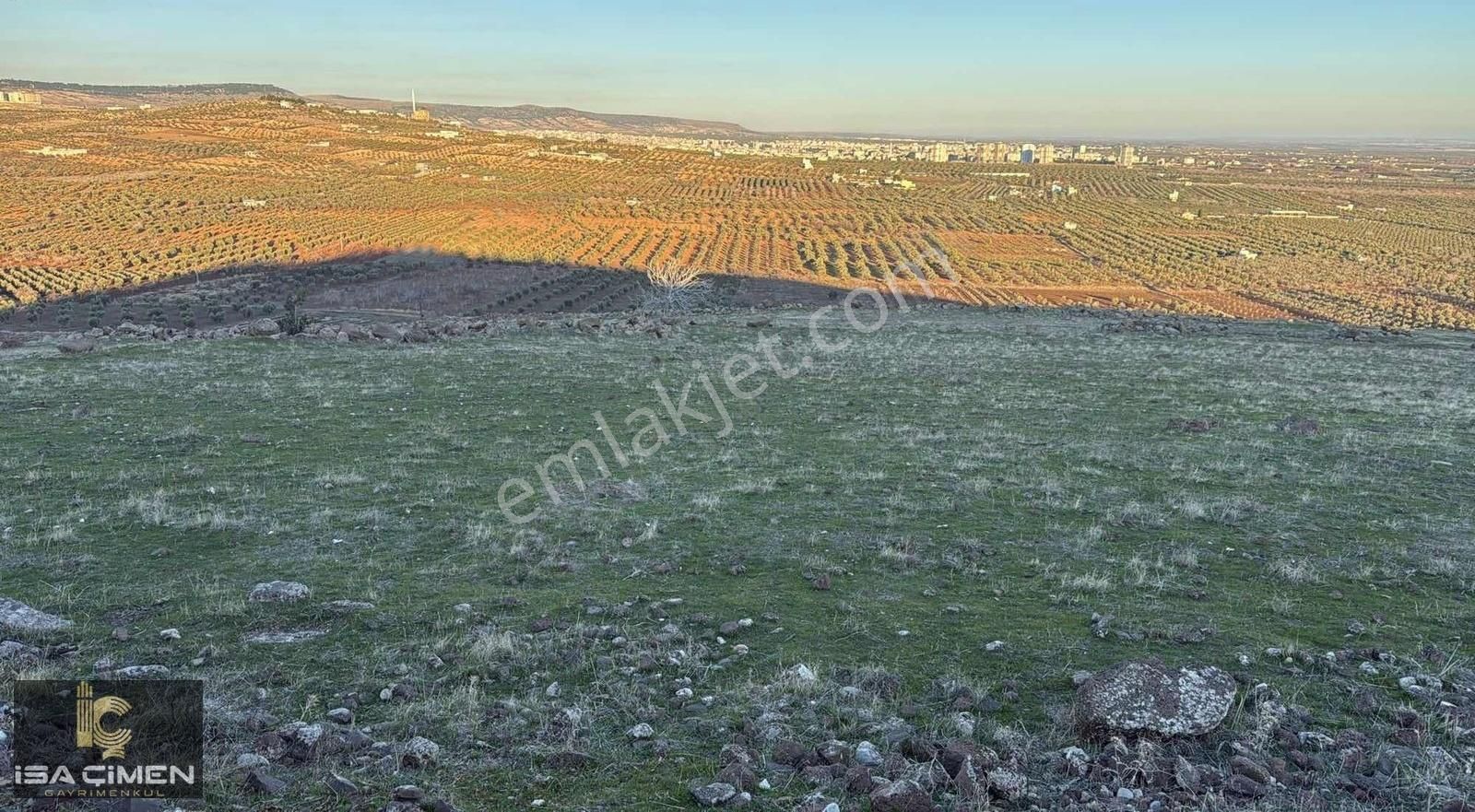 Kilis Merkez Öncü Pınar Satılık Özel Kullanım Kilis Merkez Öncüpınar Mahallesin De Bagevlık Arazi