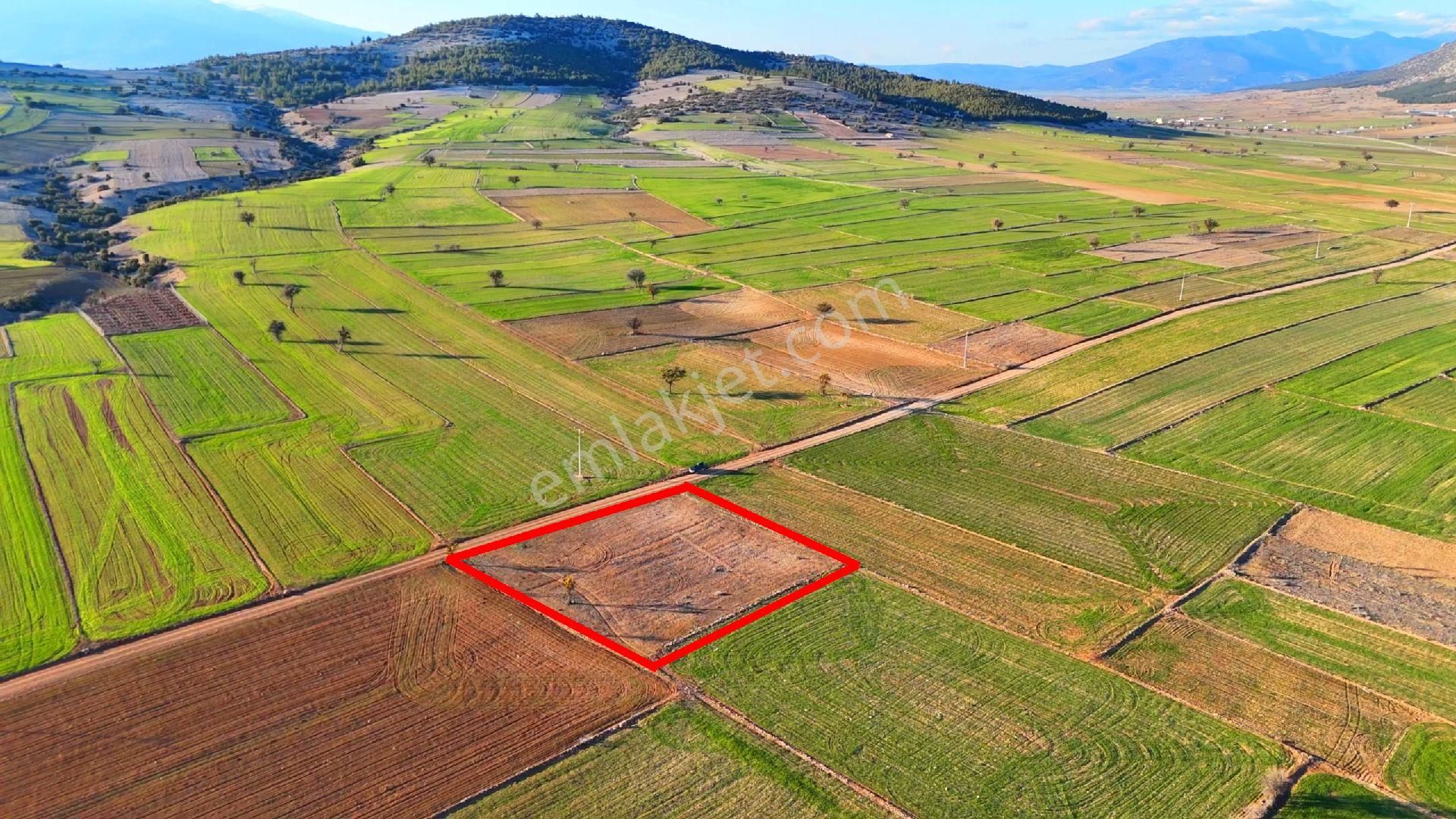 ✅korkuteli✅büyük Köy De✅satılık 2.192m2 Tarla✅resmi Yol Var✅fiyat 1.350.000₺ - Görsel 4