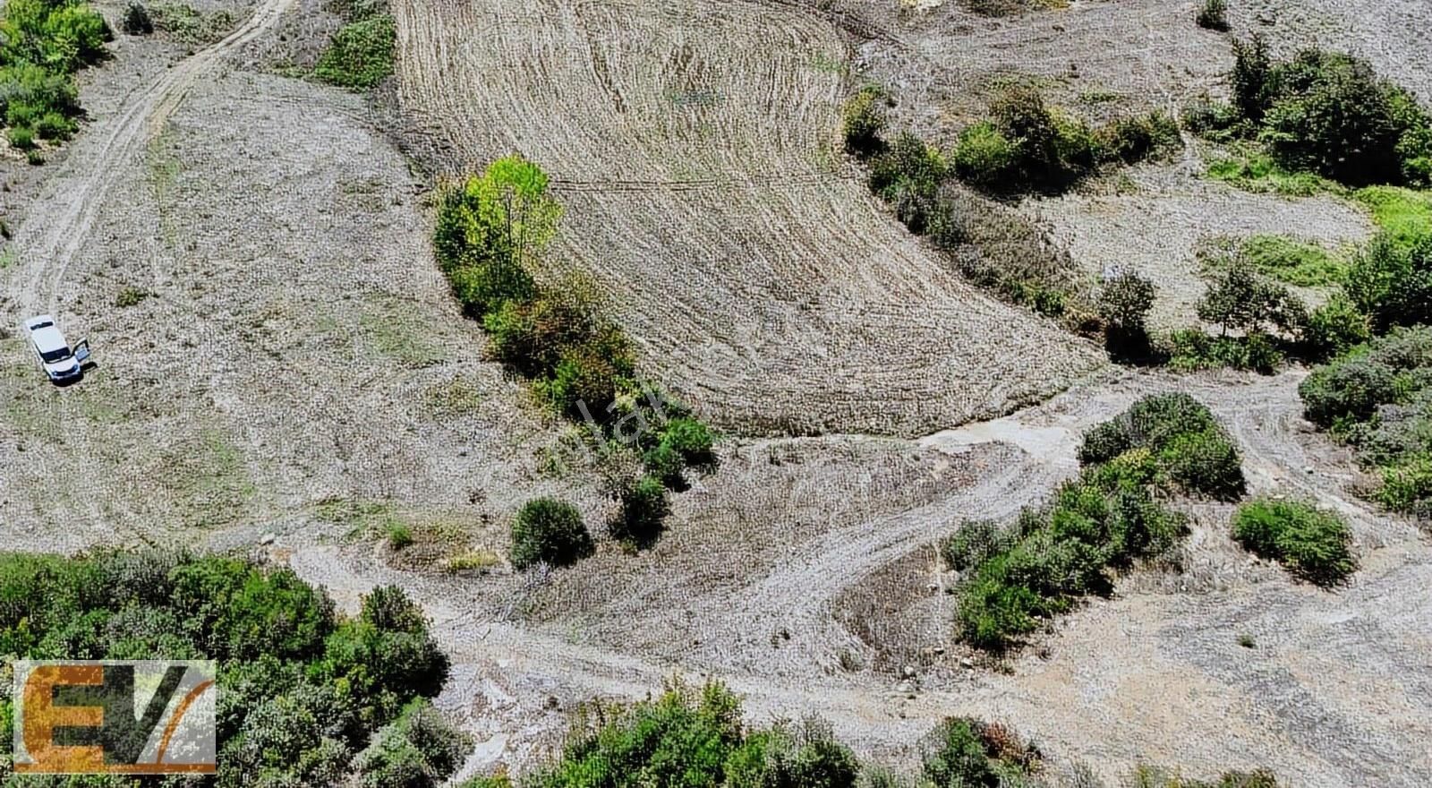 Kandıra Alaybey Satılık Tarla Kandıra Duraçali 690 M2 %5 İmarlı Satılık Tarla