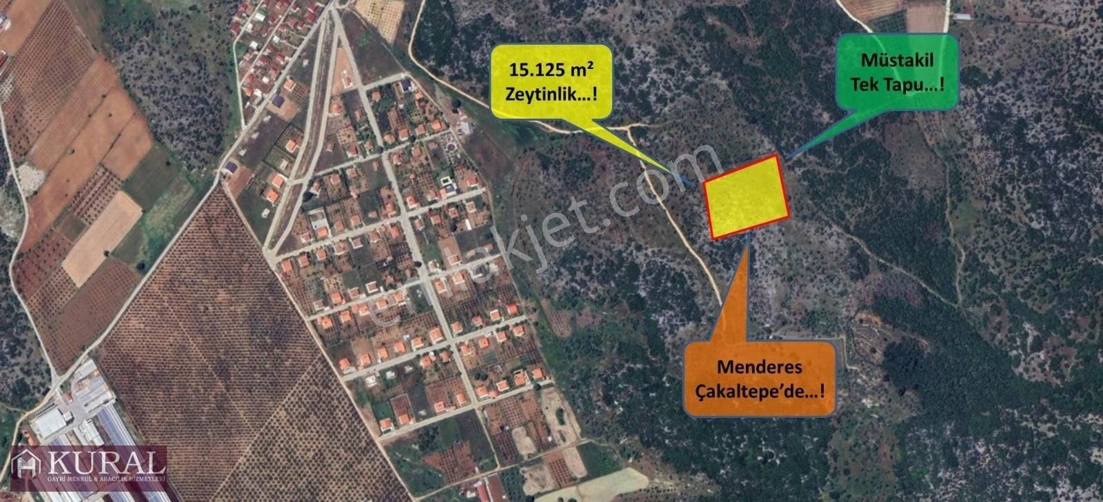 Menderes Çakaltepe Satılık Zeytinlik Çakaltepe De Tek Tapu Havadar Zeytinlik 15,500 M2 Menderes İzmir