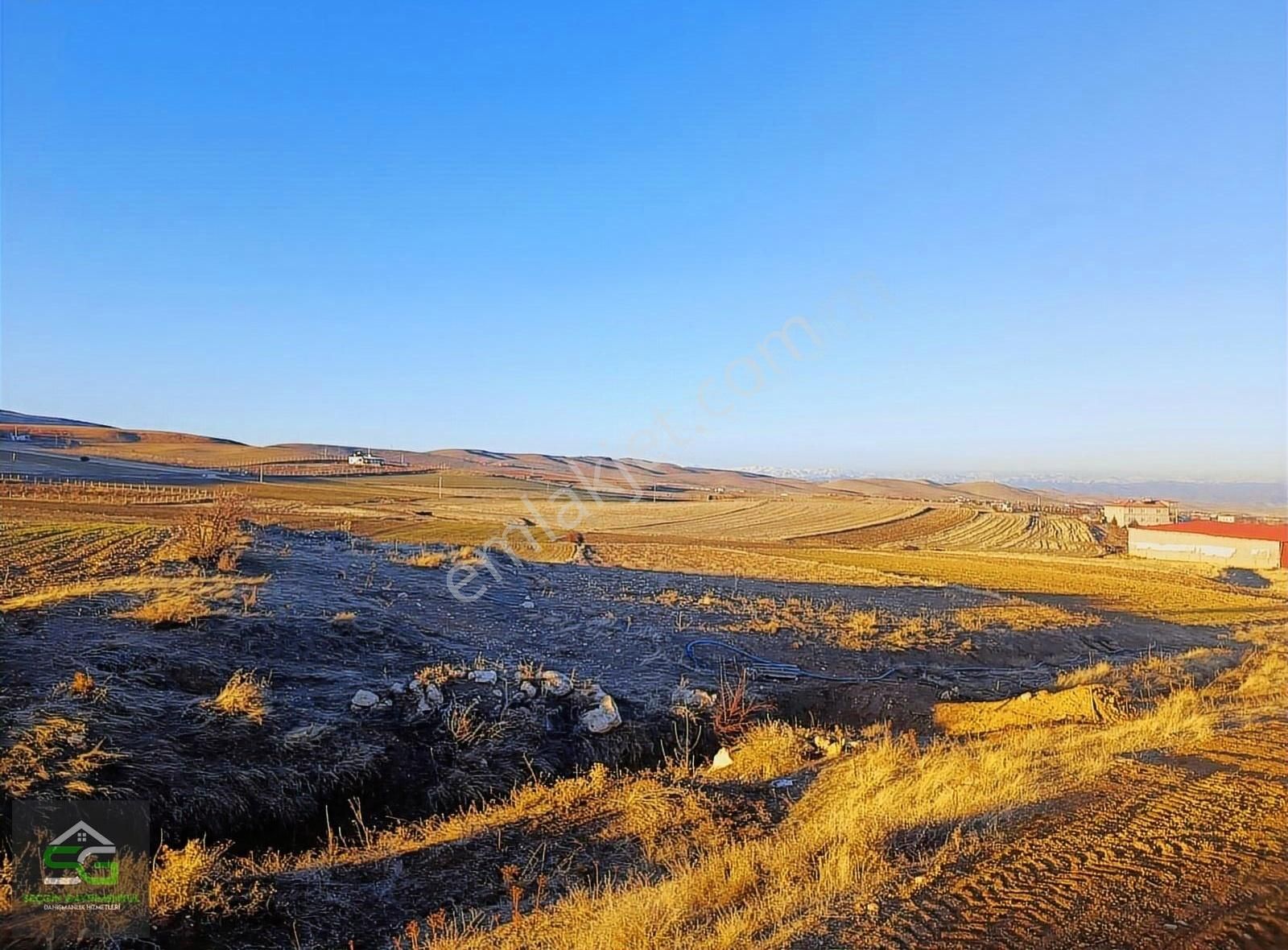 Elazığ Merkez Kavakpınar Köyü Satılık Tarla Acil Acil Çemizşgezek Yolu Üstünde Satılık Uygun Fiyatlı Tarla