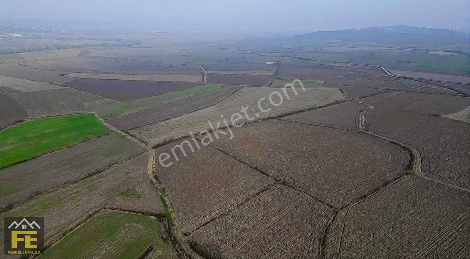 Ferizli Sinanoğlu Satılık Tarla Geleceğin Projeleri İçin İdeal Arazi