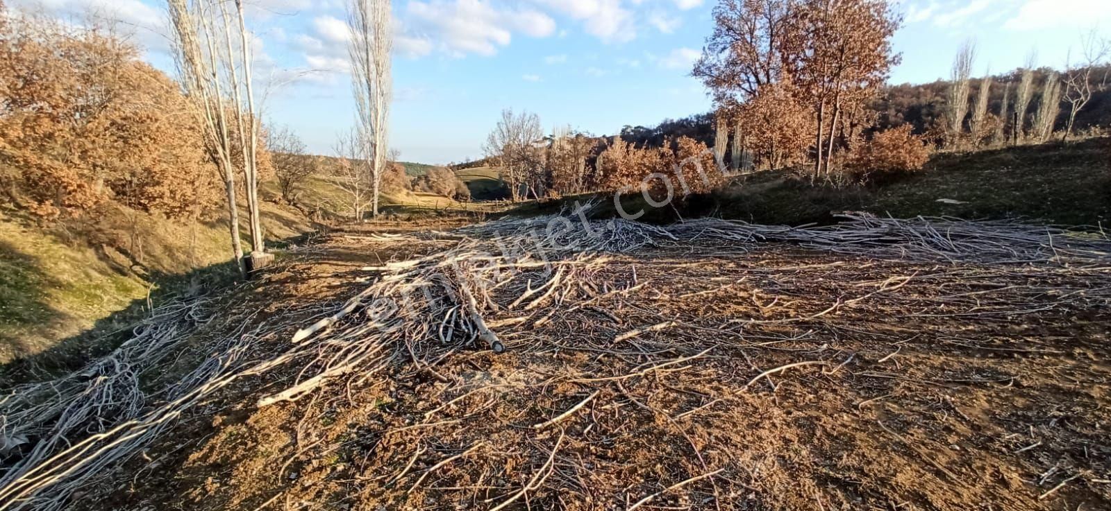 Uşak Merkez Ciğerdede Köyü (Ciğerdede Mücavir) Satılık Tarla Uşağa 7.kilometre Mesafede Ciğerdede Mahallesindedir 429m2olup Yol Su Elektrik Sorunu Yoktur