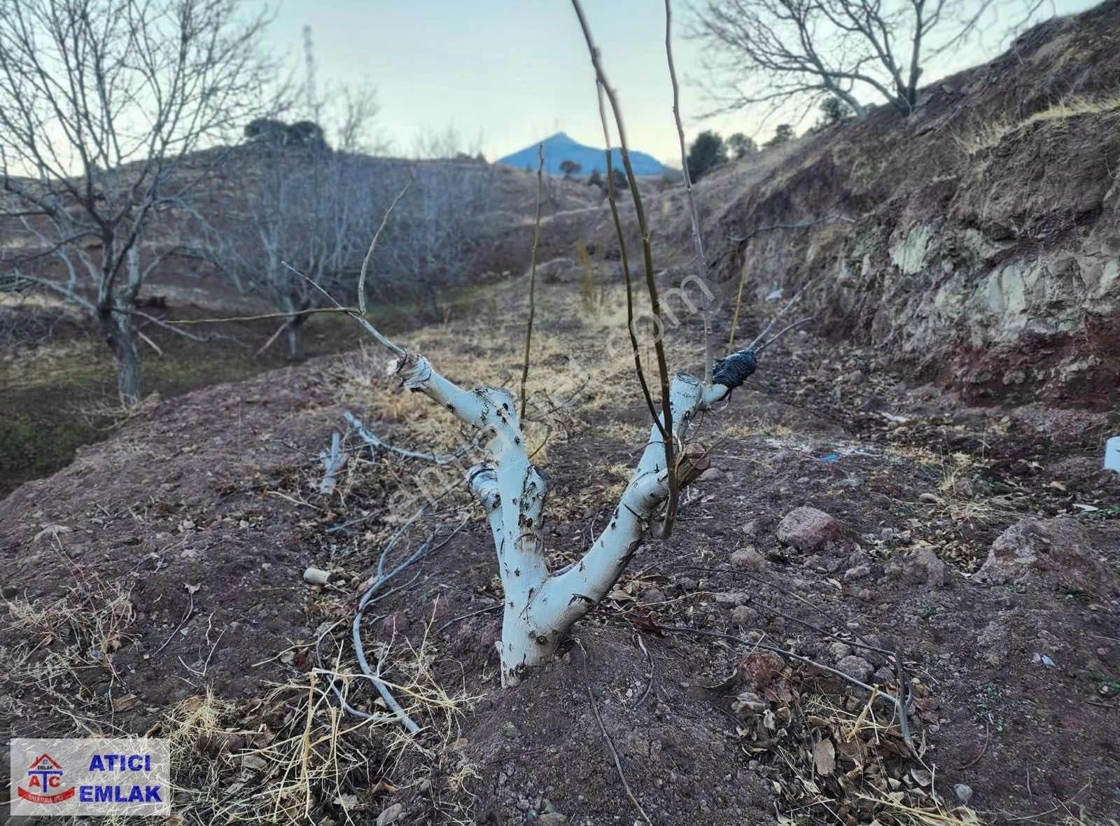 Pozantı Kamışlı Satılık Tarla Atıcı Emlaktan Pozantı Kamışlıda 2500 M2 Tek Tapu Tarla