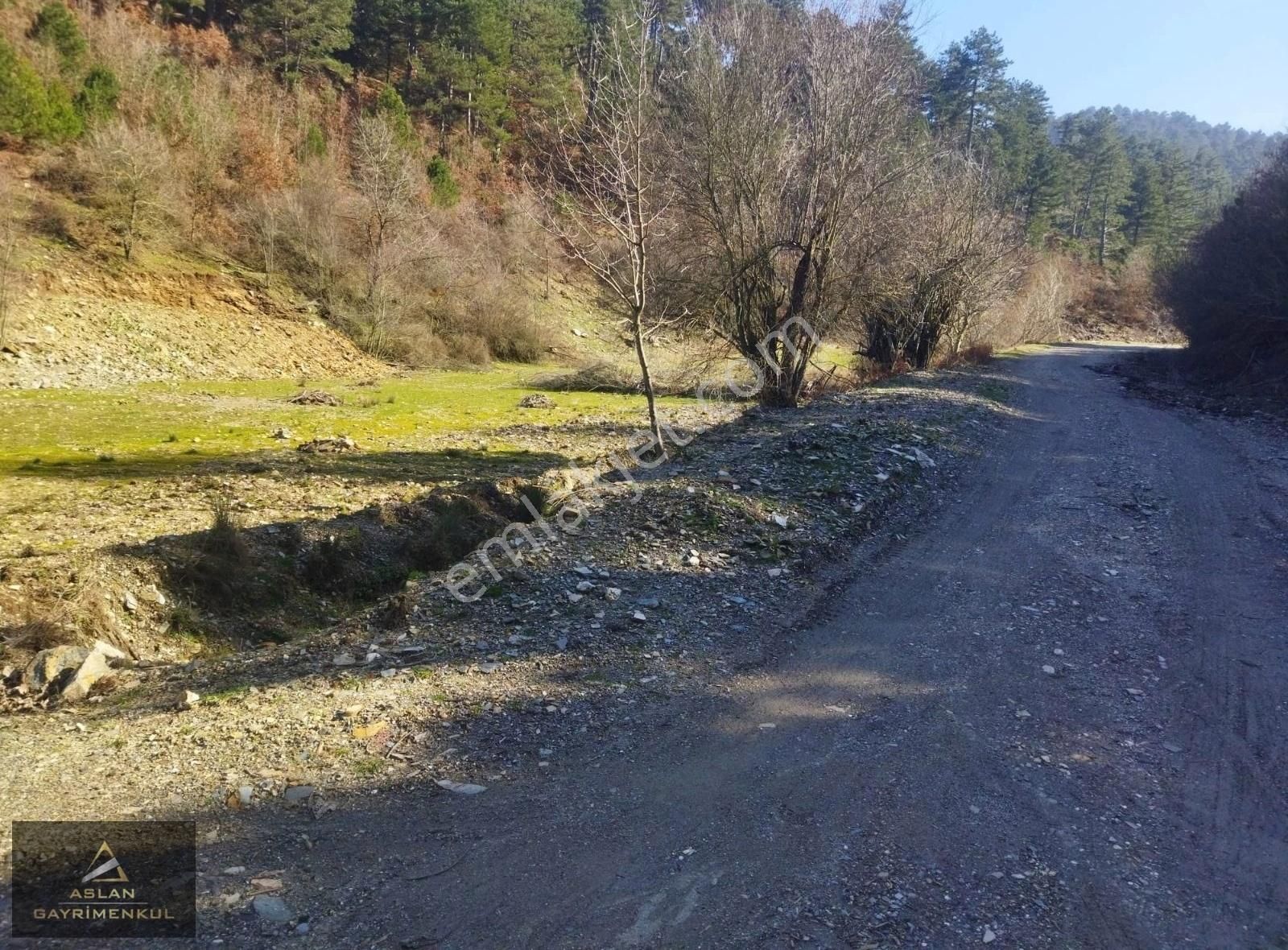 Ödemiş Horzum Satılık Tarla Meyve Bahçesi Ve Kaynak Suyu Olan Yolu Açılmış Arsa