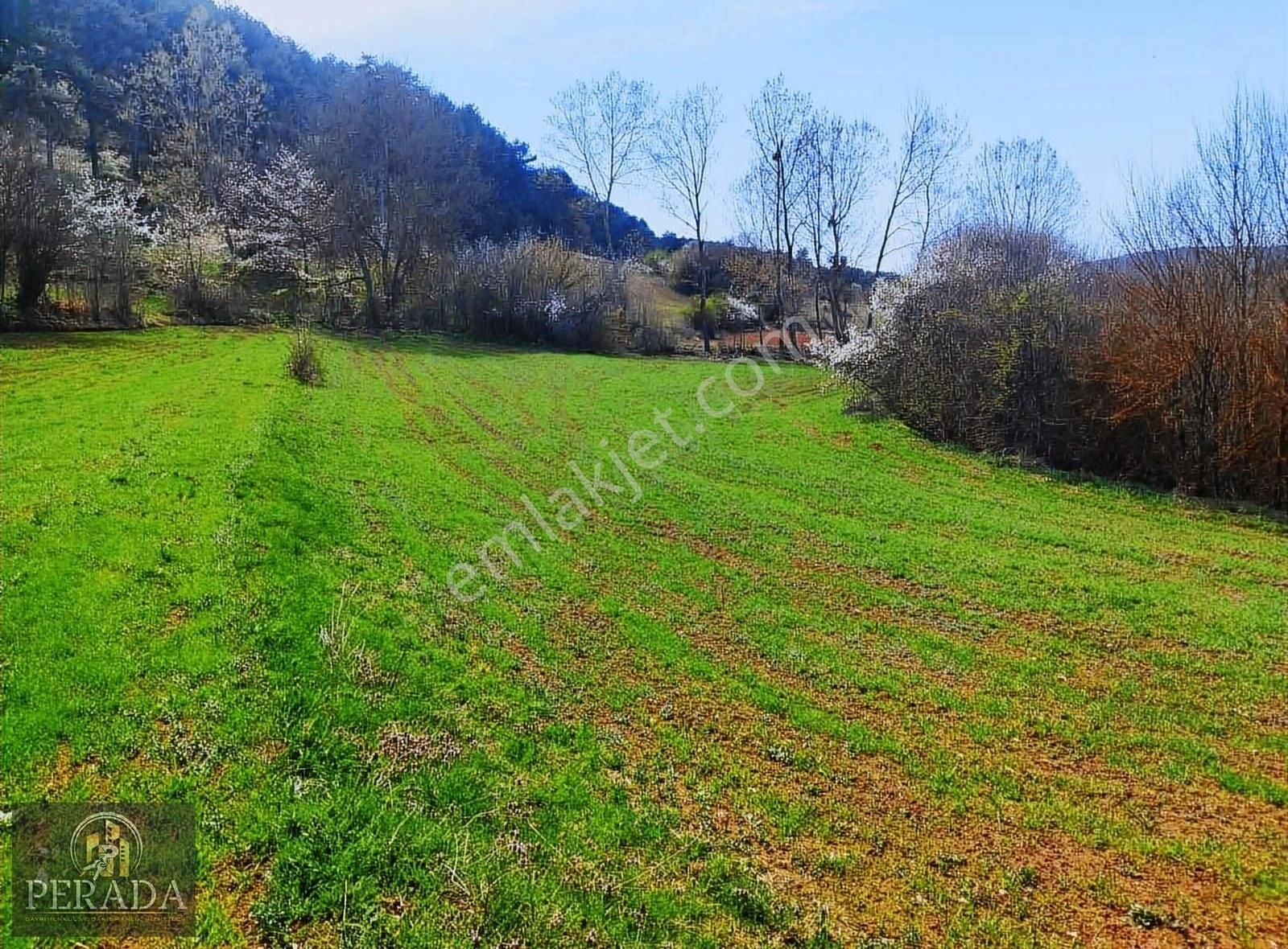 Göynük Sünnet Köyü (Merkez) Satılık Tarla Bolu/göynük'te Satılık Tarla Köye 350 Mt Mesafede