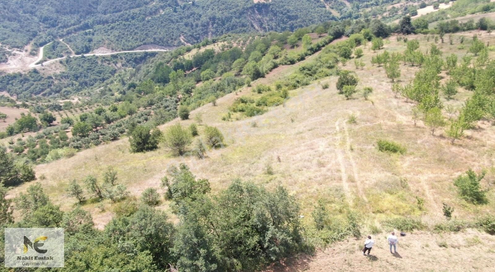 İnegöl Doğanyurdu Satılık Tarla Doğanyurdunda Satılık 4412m2 Yatırımlık Tarla Yüksek M2 Uygun