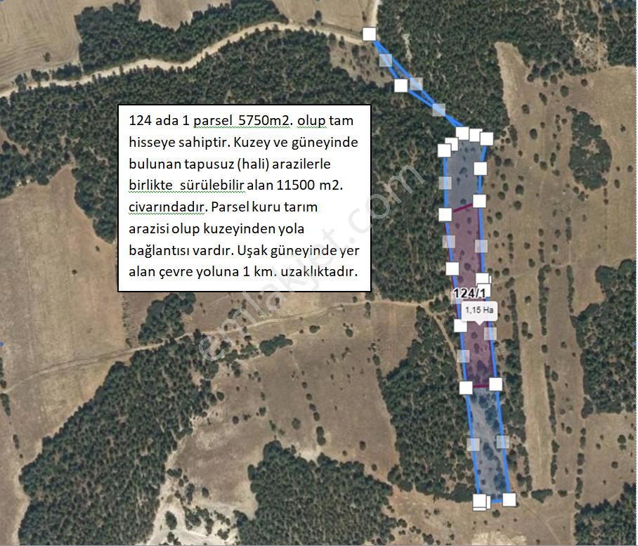 Uşak Merkez Eskisaray Köyü Satılık Tarla Hobi Bahçesi Asfalt Yola Cepheli Basınçlı Sulama Sistemine Sahip