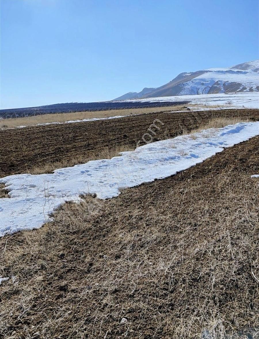 Tuşba Atmaca Satılık Tarla Nsf Gayrimenkul 48.625 Metrekare