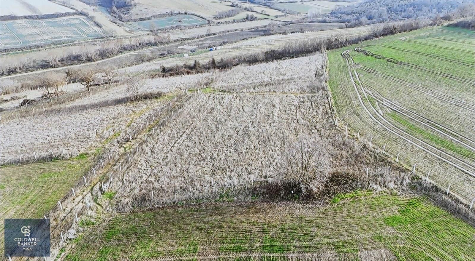 Çatalca Örencik Satılık Tarla Çatalca/örencik Mah. Satılık Yatırıma Uygun 2342m2 Tarla