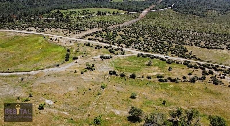 Bayramiç Bekirler Köyü Satılık Tarla Bayramiç Bekirler Yola Cepheli Satılık Tarla