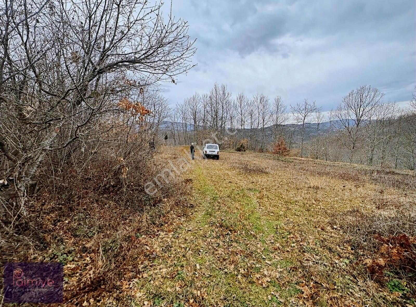 İznik Candarlı Satılık Tarla Candarlı'da Doğa Harikası Yola Cephe 1,250 M2 Arazi